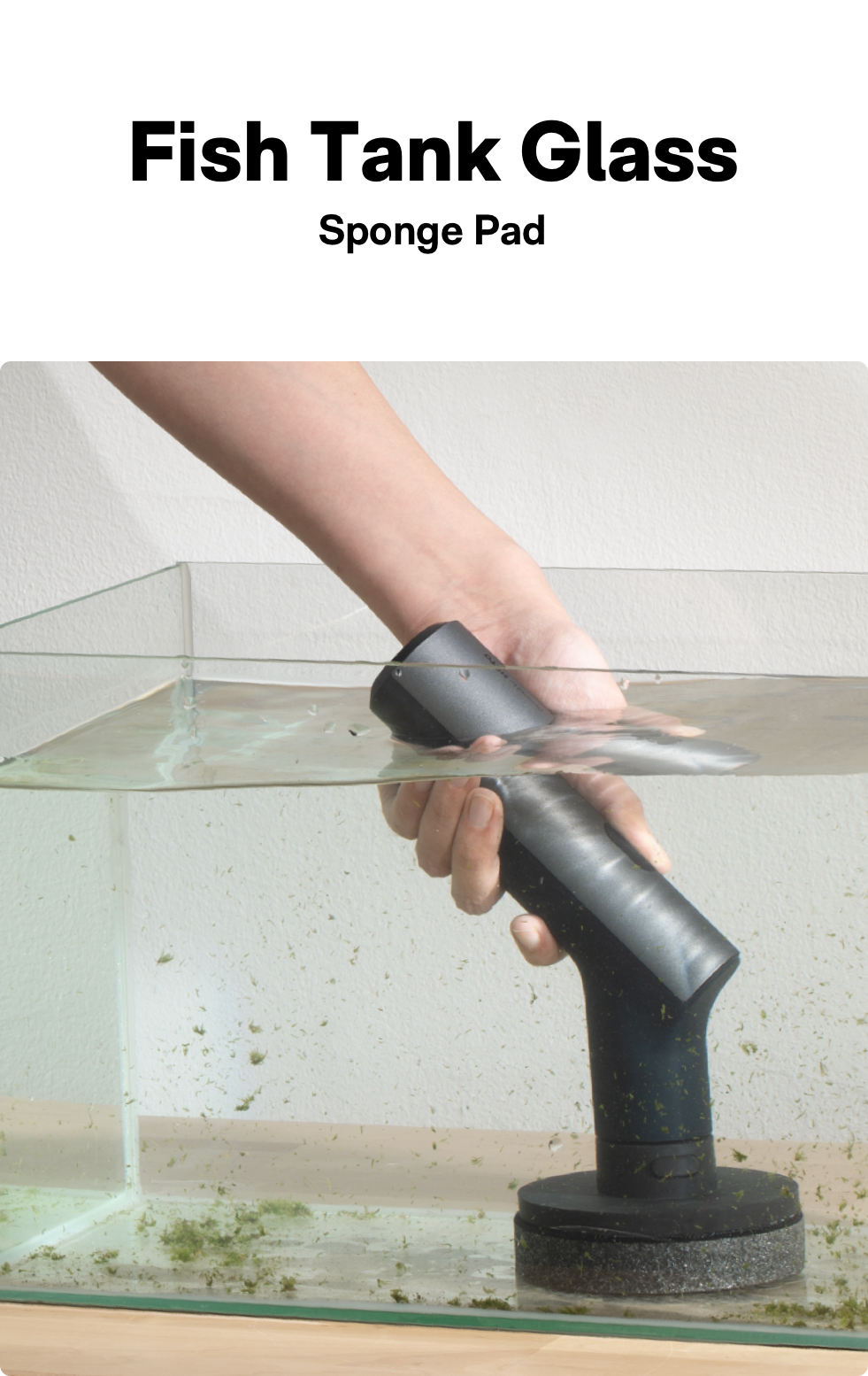 Fish Tank Glass
