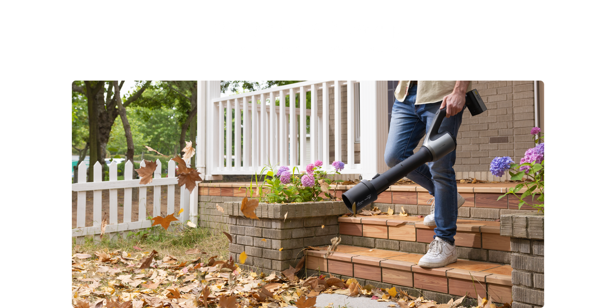 Daily Home Cleanup