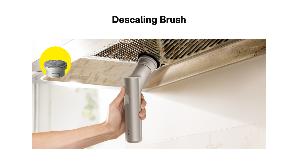 Descaling Brush