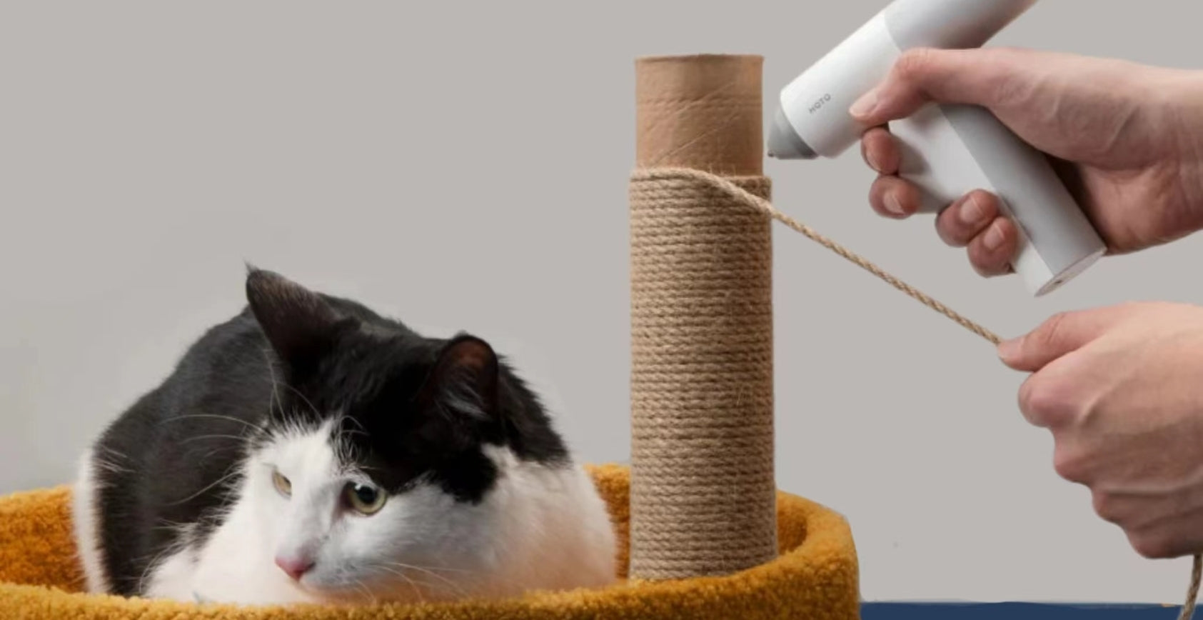 Comment faire un lit pour chat avec un pistolet à colle : Tutoriel de bricolage facile